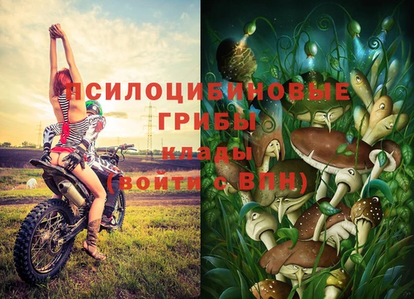 не бодяженный Армянск