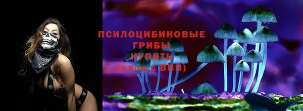 не бодяженный Армянск
